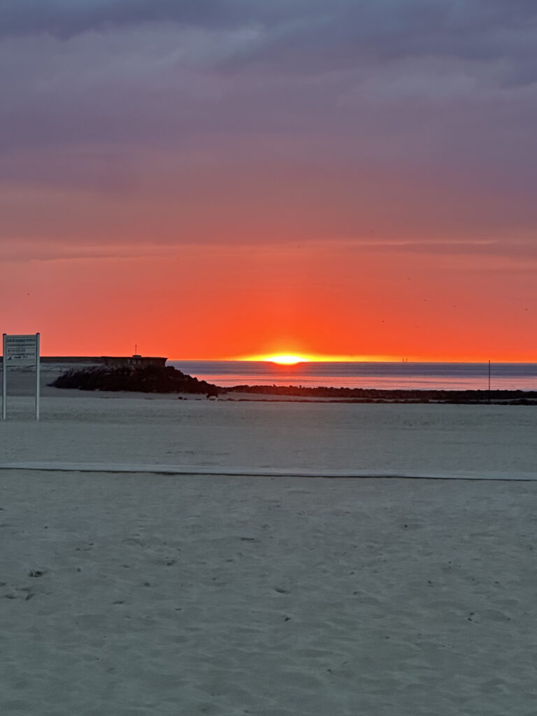 Nue-Propriété Murs commerciaux Trouville sur mer